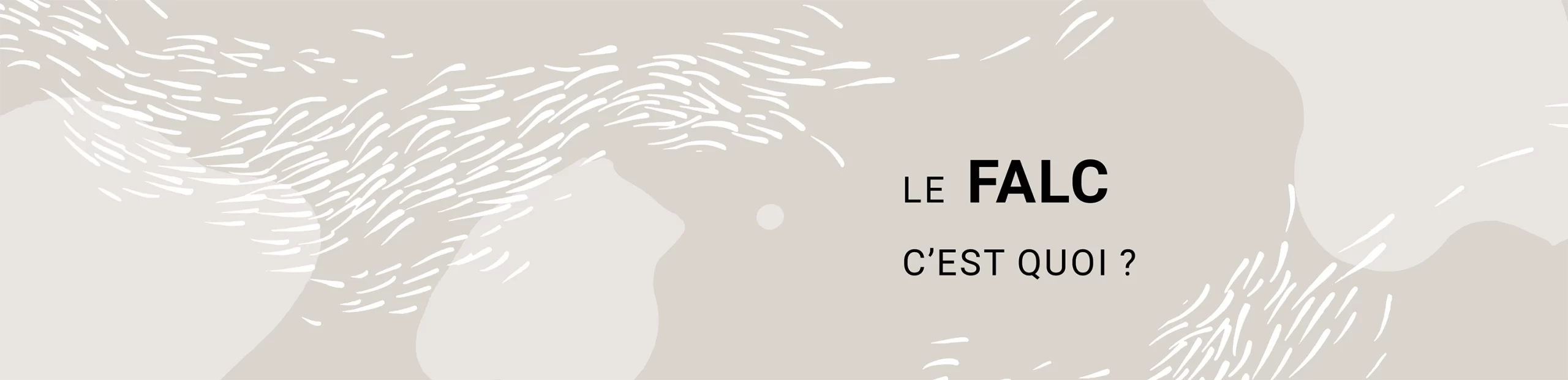 Le FALC c'est quoi ?