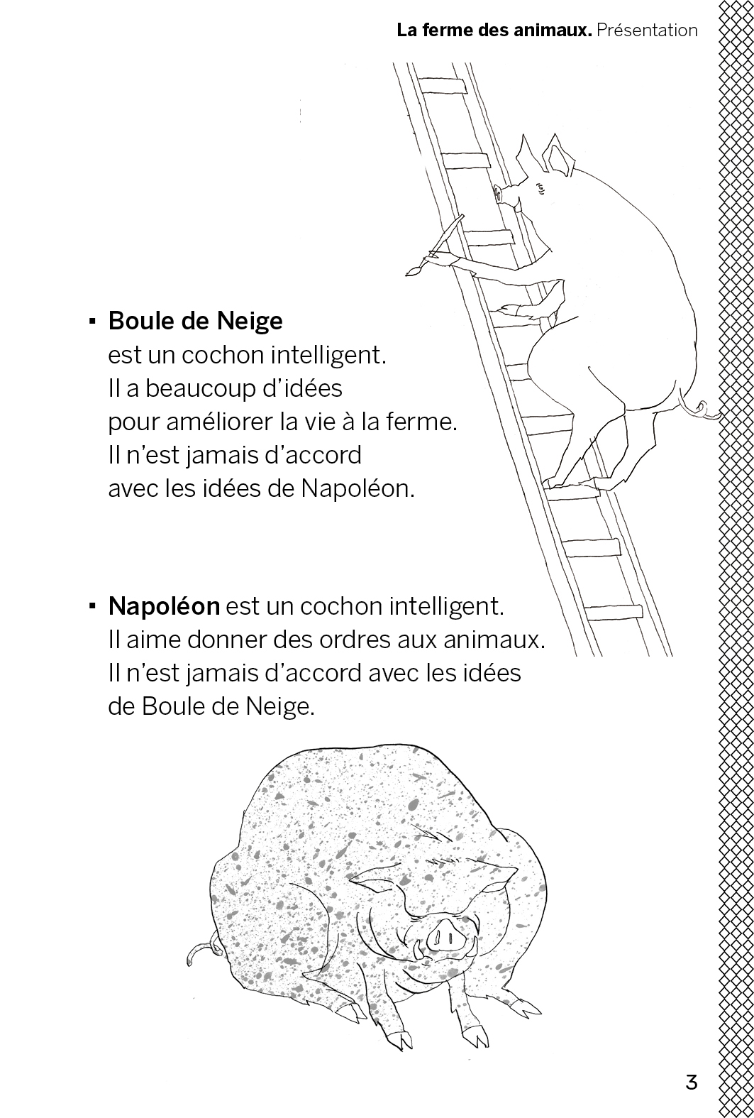 La ferme des animaux – Image 5